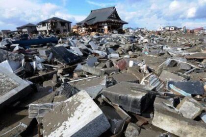 yuan numa japan earthquake resilience depression google scholar