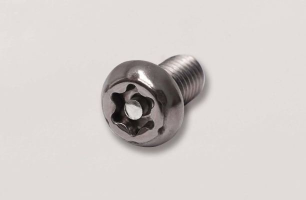 623-483-04 6 Lobe Screw