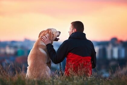 https://dobermanns.org/razas/aussiedoodle-dogster/